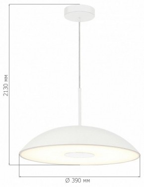 Подвесной светильник ST-Luce Lido SL6128.503.01 в Тавде - tavda.ok-mebel.com | фото 4