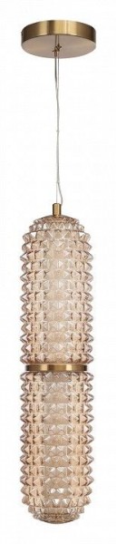 Подвесной светильник ST-Luce SAGUARO SL6144.303.01 в Тавде - tavda.ok-mebel.com | фото 3