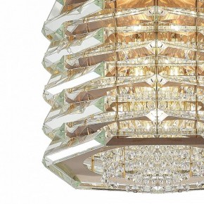 Подвесной светильник ST-Luce STROZZI SL6137.203.08 в Тавде - tavda.ok-mebel.com | фото 6
