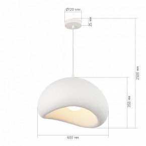 Подвесной светильник ST-Luce WABI SABI SL1522.513.01 в Тавде - tavda.ok-mebel.com | фото 5