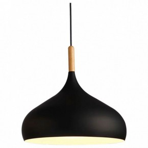 Подвесной светильник TopDecor Molto Molto S1 12 в Тавде - tavda.ok-mebel.com | фото
