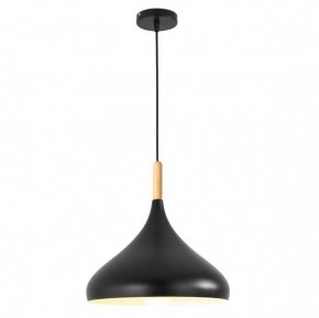 Подвесной светильник TopDecor Molto Molto S2 12 в Тавде - tavda.ok-mebel.com | фото