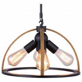 Подвесной светильник TopLight Jasmin TL1179H-04BK в Тавде - tavda.ok-mebel.com | фото