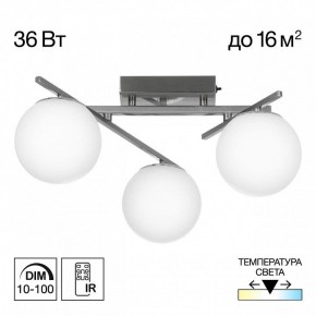 Потолочная люстра Citilux Dorsy CL223131 в Тавде - tavda.ok-mebel.com | фото 3