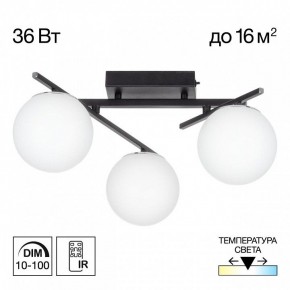 Потолочная люстра Citilux Dorsy CL223132 в Тавде - tavda.ok-mebel.com | фото 10