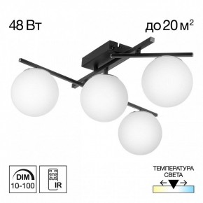 Потолочная люстра Citilux Dorsy CL223142 в Тавде - tavda.ok-mebel.com | фото 9
