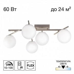 Потолочная люстра Citilux Dorsy CL223151 в Тавде - tavda.ok-mebel.com | фото 2