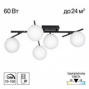 Потолочная люстра Citilux Dorsy CL223152 в Тавде - tavda.ok-mebel.com | фото 2