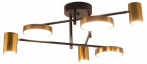 Потолочная люстра Kink Light Рапис 07645-6D,19(20) в Тавде - tavda.ok-mebel.com | фото