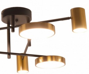 Потолочная люстра Kink Light Рапис 07645-6D,19(20) в Тавде - tavda.ok-mebel.com | фото 2