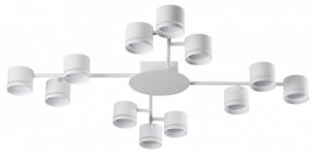 Потолочная люстра Lumion Gareta 8235/12C в Тавде - tavda.ok-mebel.com | фото