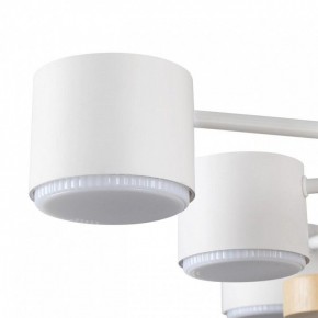 Потолочная люстра Lumion Rondo 8196/10C в Тавде - tavda.ok-mebel.com | фото 7