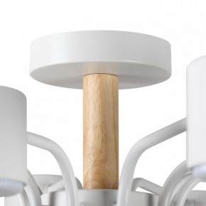 Потолочная люстра Lumion Rondo 8196/10C в Тавде - tavda.ok-mebel.com | фото 8