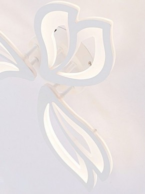 Потолочная люстра Natali Kovaltseva FORTUNA LED LAMPS 81107/2C в Тавде - tavda.ok-mebel.com | фото 11