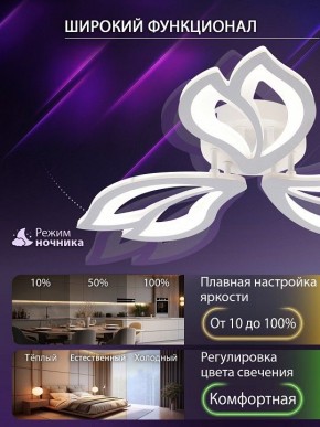 Потолочная люстра Natali Kovaltseva FORTUNA LED LAMPS 81107/2C в Тавде - tavda.ok-mebel.com | фото 5