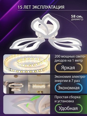 Потолочная люстра Natali Kovaltseva FORTUNA LED LAMPS 81107/2C в Тавде - tavda.ok-mebel.com | фото 6