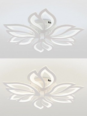 Потолочная люстра Natali Kovaltseva FORTUNA LED LAMPS 81107/6C в Тавде - tavda.ok-mebel.com | фото 4
