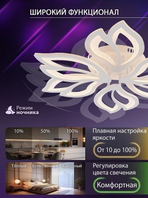 Потолочная люстра Natali Kovaltseva FORTUNA LED LAMPS 81107/6C в Тавде - tavda.ok-mebel.com | фото 6
