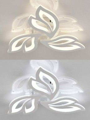 Потолочная люстра Natali Kovaltseva  LED LAMPS 81426 в Тавде - tavda.ok-mebel.com | фото 4