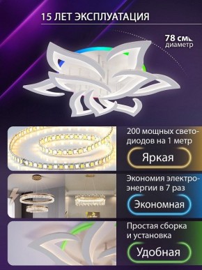 Потолочная люстра Natali Kovaltseva OLIMP LED LAMPS 81435 в Тавде - tavda.ok-mebel.com | фото 5