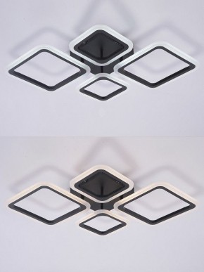 Потолочная люстра Natali Kovaltseva OPTI LED LAMPS 81108/2C в Тавде - tavda.ok-mebel.com | фото 4