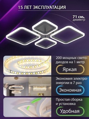 Потолочная люстра Natali Kovaltseva OPTI LED LAMPS 81108/2C в Тавде - tavda.ok-mebel.com | фото 5