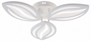 Потолочная люстра Natali Kovaltseva SM LED LAMPS 81456 в Тавде - tavda.ok-mebel.com | фото