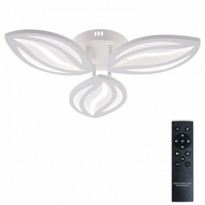 Потолочная люстра Natali Kovaltseva SM LED LAMPS 81456 в Тавде - tavda.ok-mebel.com | фото 2