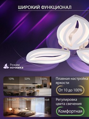 Потолочная люстра Natali Kovaltseva SM LED LAMPS 81456 в Тавде - tavda.ok-mebel.com | фото 6