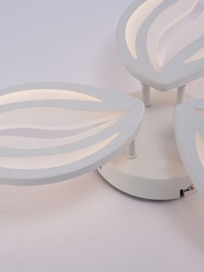 Потолочная люстра Natali Kovaltseva SM LED LAMPS 81456 в Тавде - tavda.ok-mebel.com | фото 9