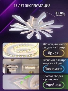 Потолочная люстра Natali Kovaltseva VIO LED LAMPS 81454 в Тавде - tavda.ok-mebel.com | фото 5