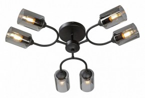 Потолочная люстра Vitaluce V2823 V2823-1/6PL в Тавде - tavda.ok-mebel.com | фото 2