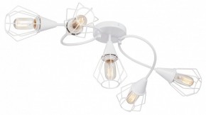 Потолочная люстра Vitaluce V3037 V3037-0/5PL в Тавде - tavda.ok-mebel.com | фото