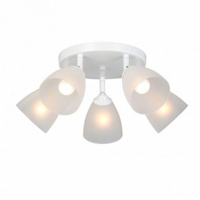 Потолочная люстра Vitaluce V4355 V4355-0/5PL в Тавде - tavda.ok-mebel.com | фото 2