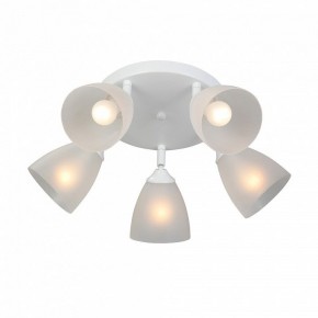 Потолочная люстра Vitaluce V4355 V4355-0/5PL в Тавде - tavda.ok-mebel.com | фото 3