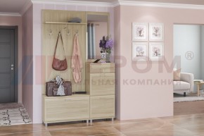 Прихожая Мелисса композиция 8 (Ясень Асахи) в Тавде - tavda.ok-mebel.com | фото