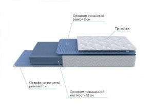 PROxSON Матрас Active Flex M (Ткань Трикотаж Эко) 120x200 в Тавде - tavda.ok-mebel.com | фото 6