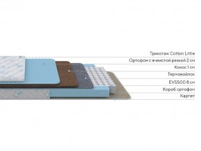 PROxSON Матрас Совенок (Cotton Little PROSON) 70x120 в Тавде - tavda.ok-mebel.com | фото 2