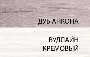 Шкаф 2DG, OLIVIA, цвет вудлайн крем/дуб анкона в Тавде - tavda.ok-mebel.com | фото 3