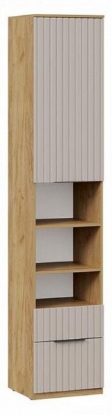 Шкаф комбинированный Хилтон Исп. 2 в Тавде - tavda.ok-mebel.com | фото 2