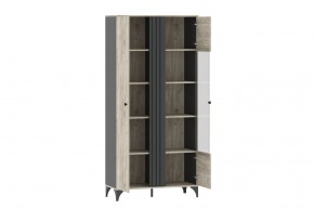 Шкаф комбинированный НМ 040.10 "Отис" в Тавде - tavda.ok-mebel.com | фото 2