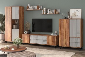 Шкаф комбинированный Онтарио 474.06 в Тавде - tavda.ok-mebel.com | фото 5
