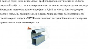 Шкаф-купе 2250 серии SILVER S3+S1+S4 B22+PL3 (по 2 ящика лев/прав+2 штанги) профиль «Серебро» в Тавде - tavda.ok-mebel.com | фото 4