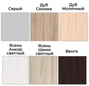 Шкаф-купе ХИТ 22-4-12/2-77 (420) в Тавде - tavda.ok-mebel.com | фото 3