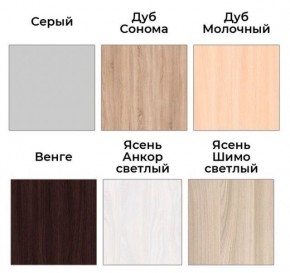 Шкаф-купе ХИТ 22-4-17-55 (420) в Тавде - tavda.ok-mebel.com | фото 3