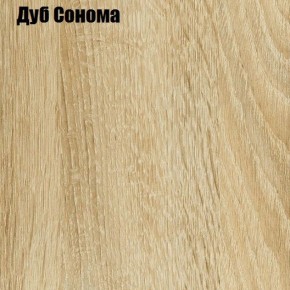 Шкаф-купе Лофт 2400 Шк24-60 (Дуб Сонома) в Тавде - tavda.ok-mebel.com | фото 4