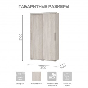Шкаф-купе ШКК-11 (ясень белый) в Тавде - tavda.ok-mebel.com | фото 7