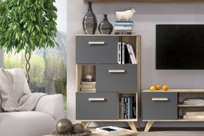 Шкаф низкий с нишами Вега Скандинавия в Тавде - tavda.ok-mebel.com | фото 6