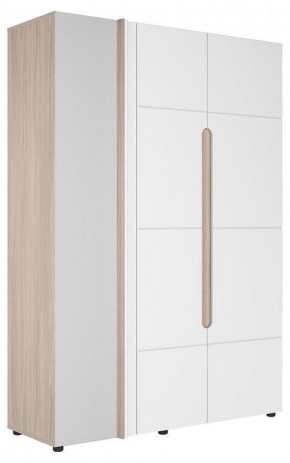 Шкаф платяной Данк в Тавде - tavda.ok-mebel.com | фото