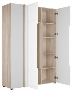 Шкаф платяной Данк в Тавде - tavda.ok-mebel.com | фото 2